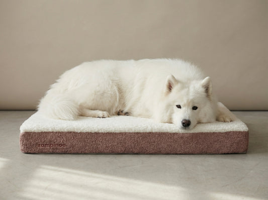 Krevet za pse JASTUK KOKO -  Premium kolekcija