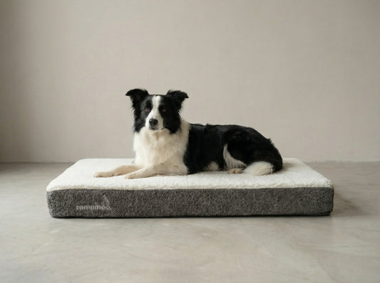 Krevet za pse JASTUK KOKO -  Premium kolekcija