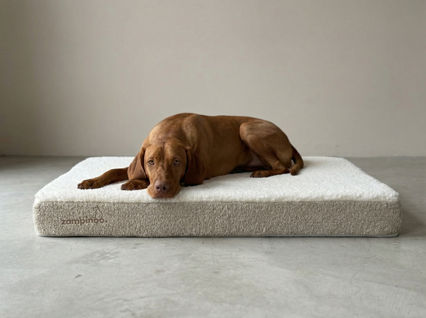 Krevet za pse JASTUK KOKO -  Premium kolekcija