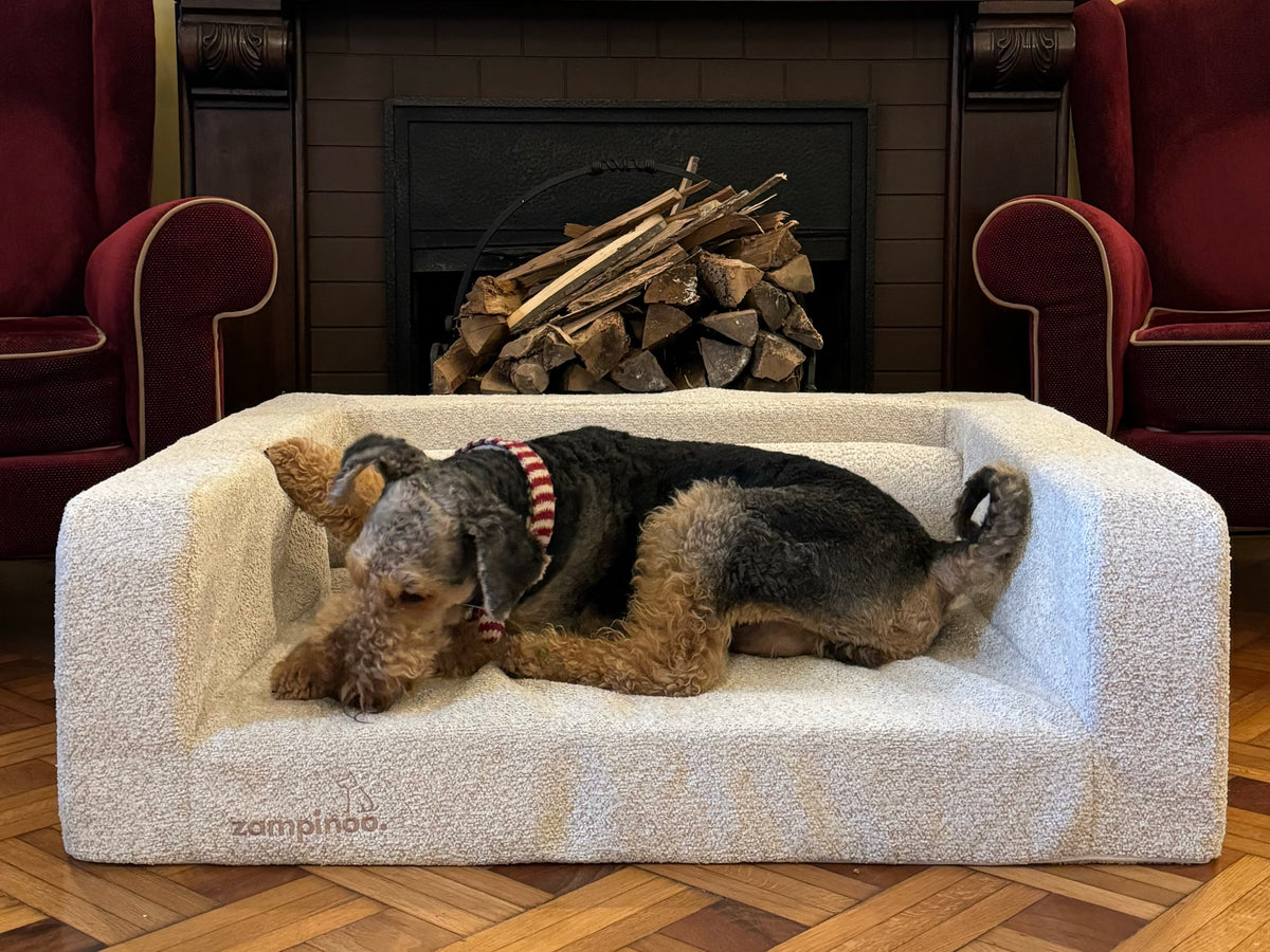 A dog lying on a white, rectangular, memory foam pet bed in a cozy room with a fireplace and wooden furniture.