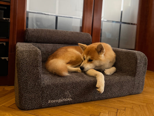 A dog lying comfortably on a gray pet bed indoors.