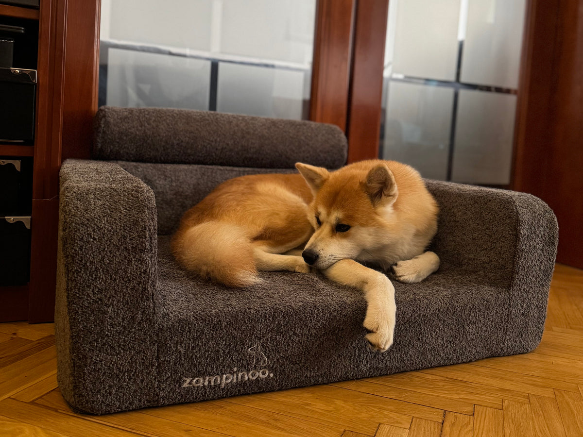 A dog lying comfortably on a gray pet bed indoors.