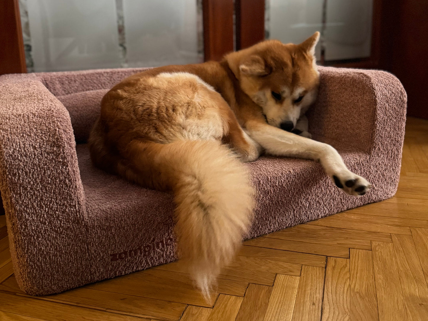 Dog lying on a pet bed with 'Zampinoo' branding.