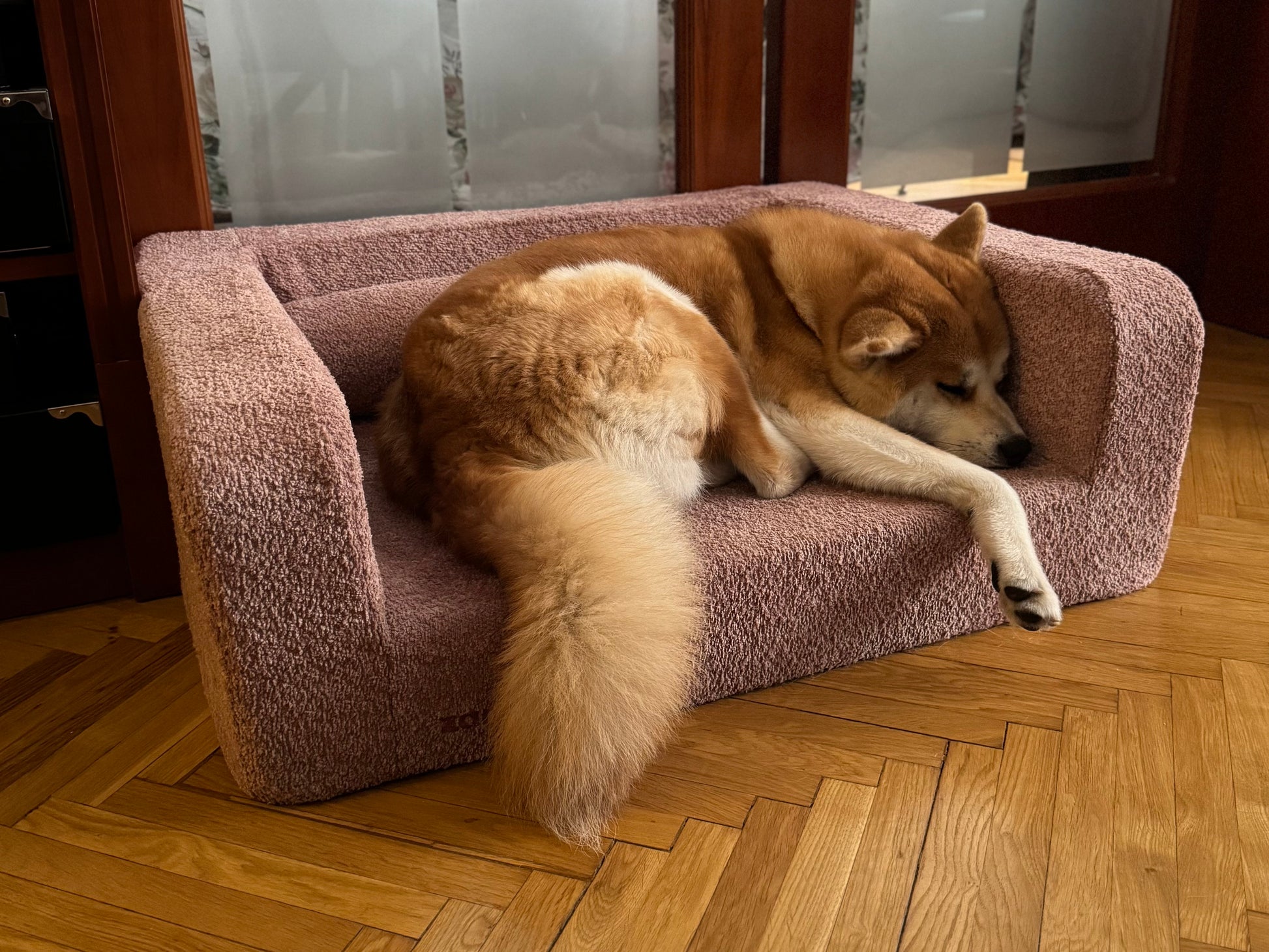 Dog lying on a pet bed with 'Zampinoo' branding.