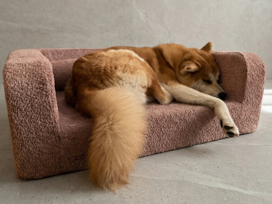 Krevet za pse SOFA MIYO -  Premium kolekcija